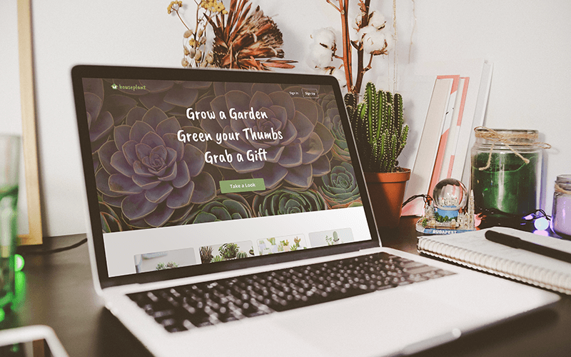 houseplant laptop mock up